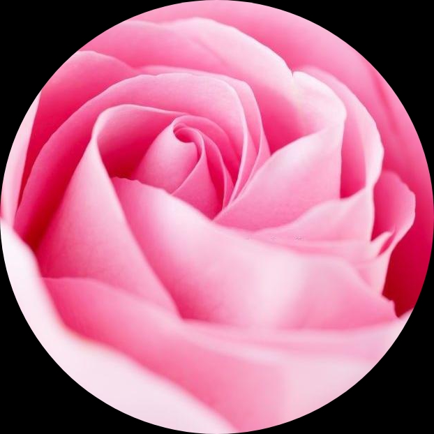 rossee_aghaee6932